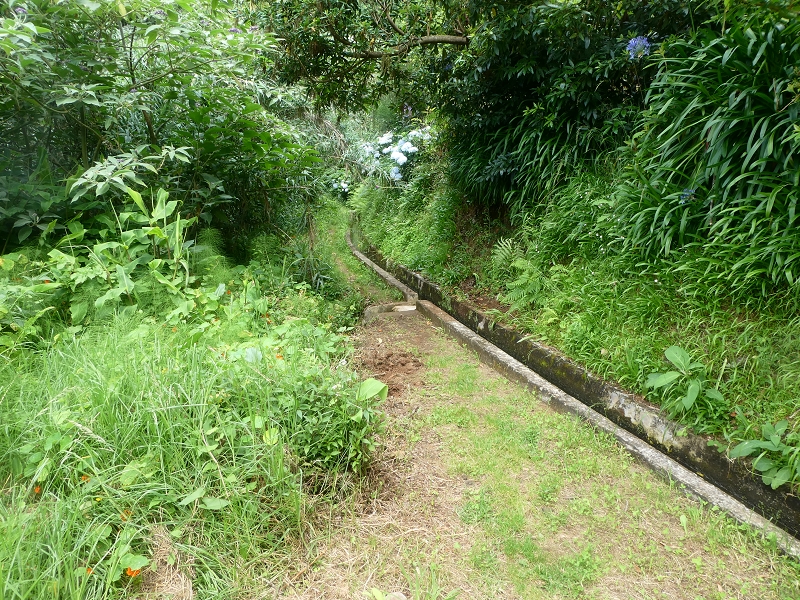 02.07.2018 Rocha do Navio und Levada do Cantinho, Miradouro de Santo Antonio — Levada do Cantinho: Der dritte Bacheinschnitt — Foto 7