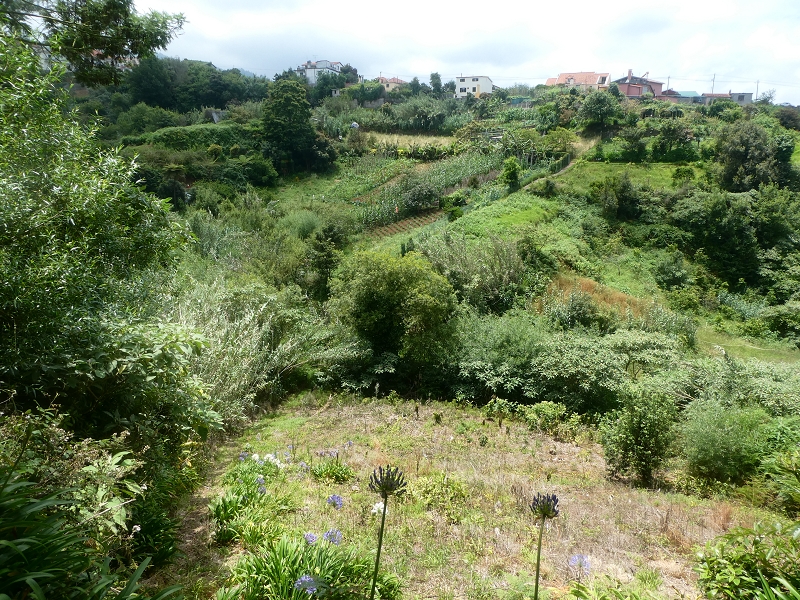 02.07.2018 Rocha do Navio und Levada do Cantinho, Miradouro de Santo Antonio — Levada do Cantinho: Die zweite Lomboüberquerung — Foto 1
