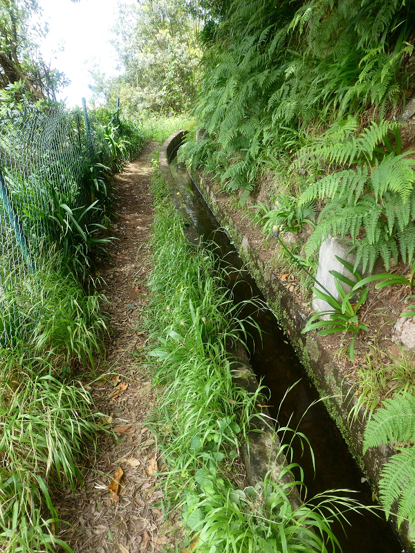 Levada do Cantinho — Tunnelportal 2 — Foto 2