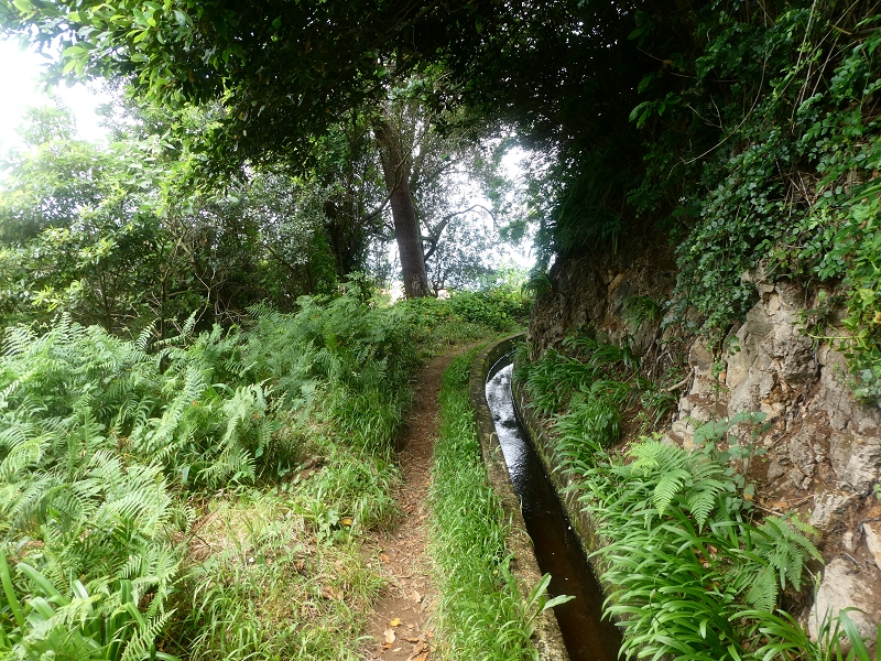 02.07.2018 Rocha do Navio und Levada do Cantinho, Miradouro de Santo Antonio — Levada do Cantinho: Die zweite Lomboüberquerung — Foto 4