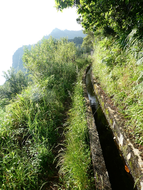Levada do Cantinho — Lombo das Covas — Foto 3