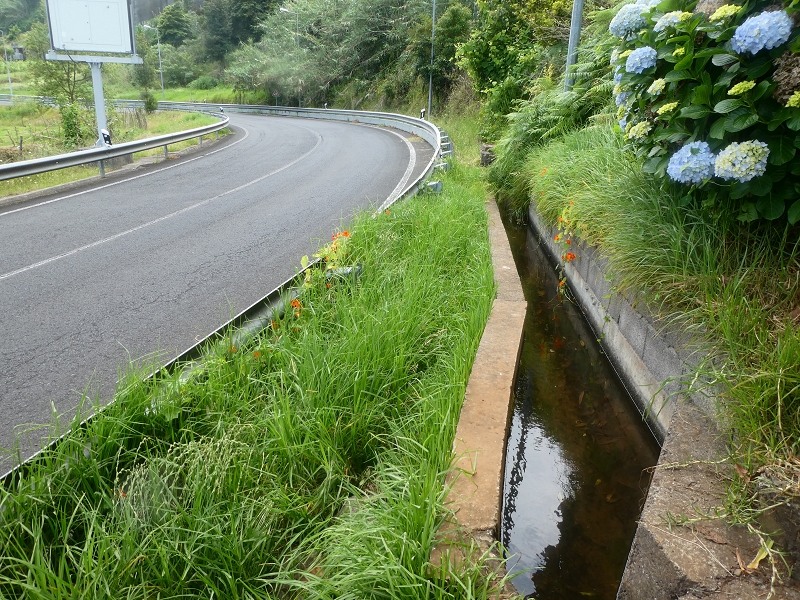 Levada do Cantinho — Zusammenfluss der beiden Äste und weiter im Tal der Ribeira dos Pregos — Foto 4