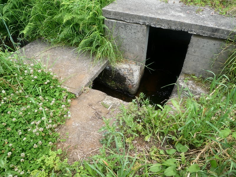 02.07.2018 Rocha do Navio und Levada do Cantinho, Miradouro de Santo Antonio — Levada do Cantinho: Weiter Richtung Rohrbrücke und Madre — Foto 2