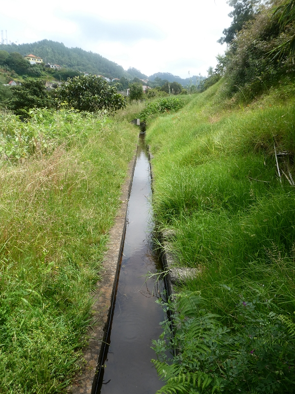 02.07.2018 Rocha do Navio und Levada do Cantinho, Miradouro de Santo Antonio — Levada do Cantinho: Weiter Richtung Rohrbrücke und Madre — Foto 5