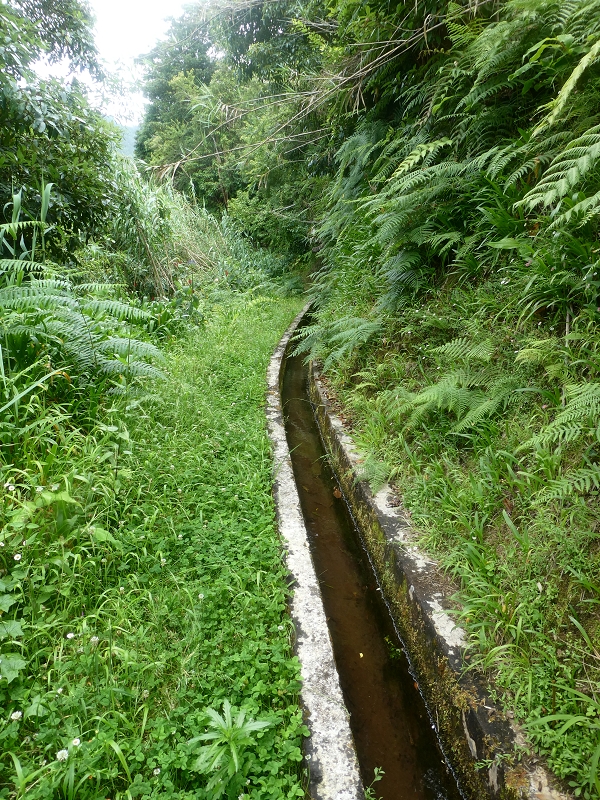 02.07.2018 Rocha do Navio und Levada do Cantinho, Miradouro de Santo Antonio — Levada do Cantinho: Weiter Richtung Rohrbrücke und Madre — Foto 6