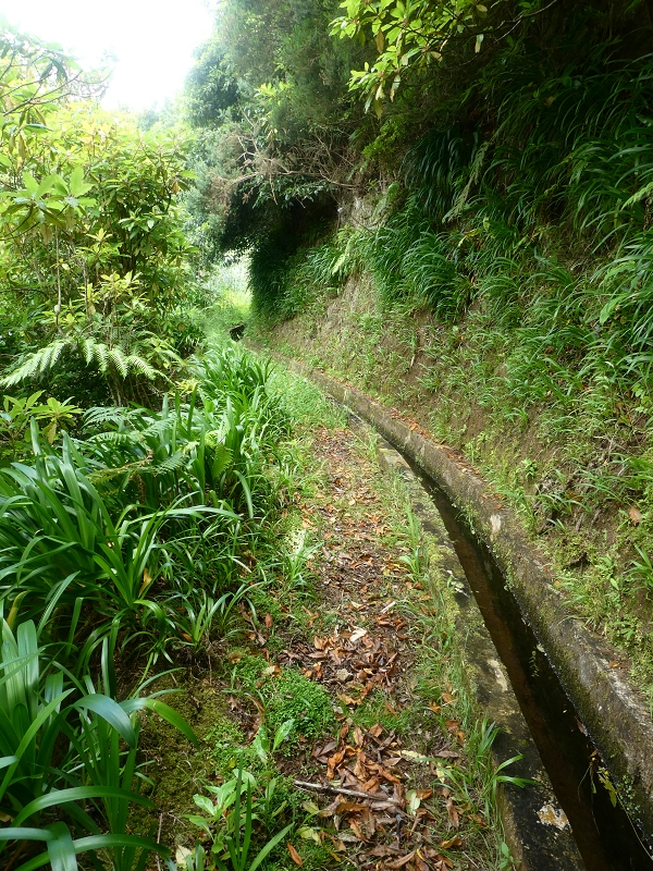 02.07.2018 Rocha do Navio und Levada do Cantinho, Miradouro de Santo Antonio — Levada do Cantinho: Weiter Richtung Rohrbrücke und Madre — Foto 7