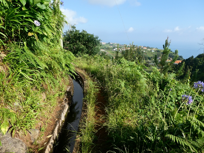 Levada do Cantinho — Lombo das Covas — Foto 4