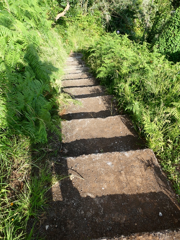 Levada do Cantinho — Lombo das Covas — Foto 5