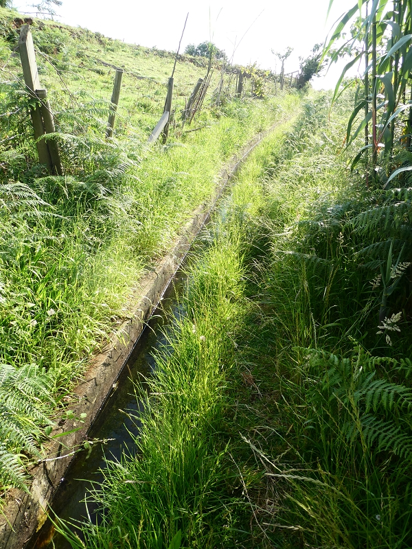 02.07.2018 Rocha do Navio und Levada do Cantinho, Miradouro de Santo Antonio — Von der Estrada das Covas zum Fio Velho — Foto 2