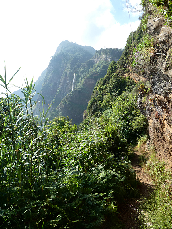02.07.2018 Rocha do Navio und Levada do Cantinho, Miradouro de Santo Antonio — Abstieg nach Rocha do Navio — Foto 2
