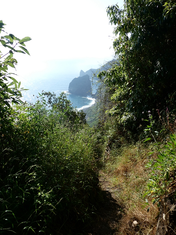 02.07.2018 Rocha do Navio und Levada do Cantinho, Miradouro de Santo Antonio — Abstieg nach Rocha do Navio — Foto 4