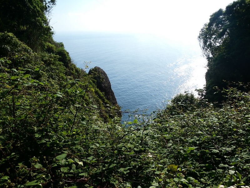 02.07.2018 Rocha do Navio und Levada do Cantinho, Miradouro de Santo Antonio — Abstieg nach Rocha do Navio — Foto 6
