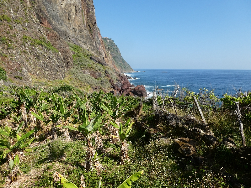 02.07.2018 Rocha do Navio und Levada do Cantinho, Miradouro de Santo Antonio — Ponte dos Sargos — Foto 1