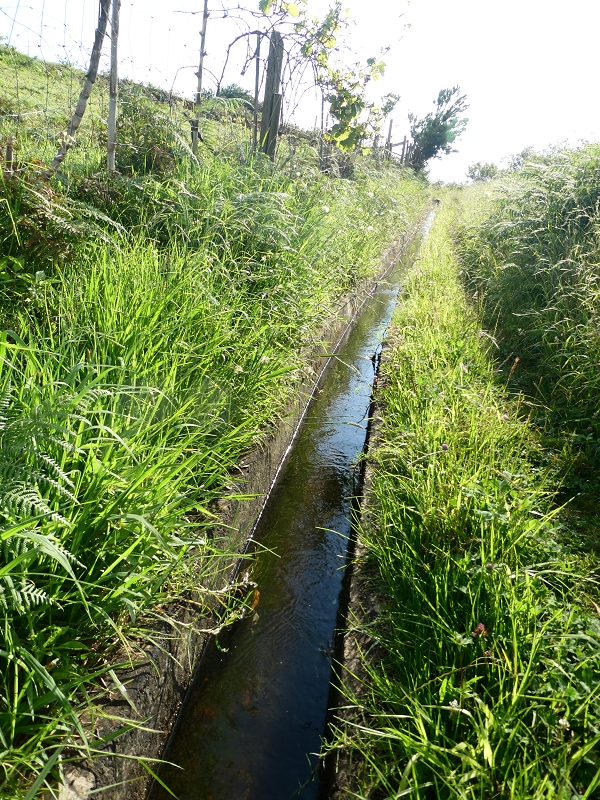 02.07.2018 Rocha do Navio und Levada do Cantinho, Miradouro de Santo Antonio — Von der Estrada das Covas zum Fio Velho — Foto 4