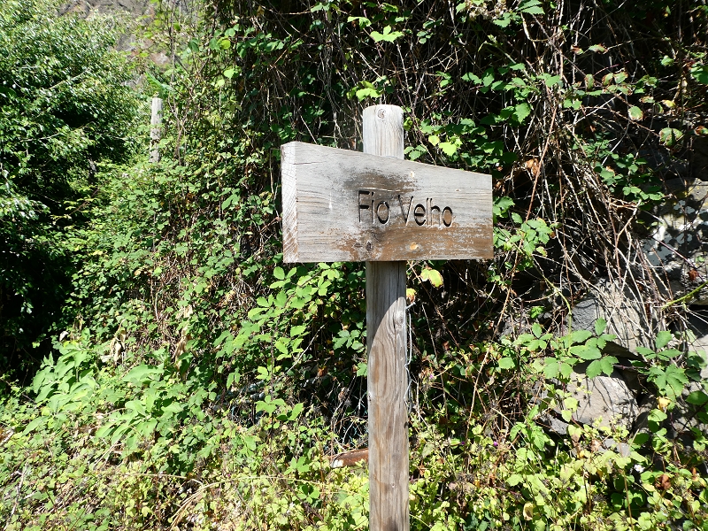02.07.2018 Rocha do Navio und Levada do Cantinho, Miradouro de Santo Antonio — Rocha do Navio — Foto 6