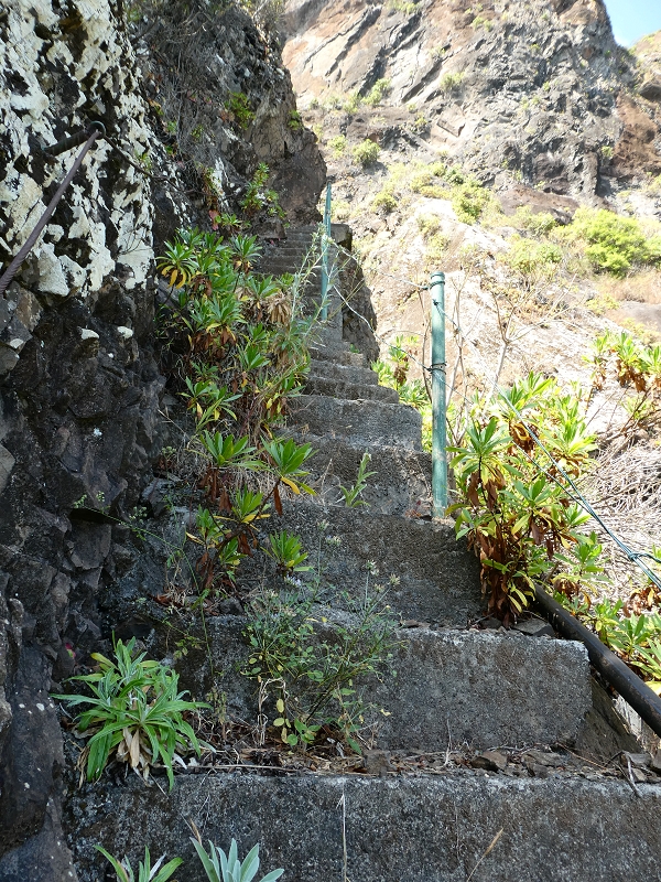 02.07.2018 Rocha do Navio und Levada do Cantinho, Miradouro de Santo Antonio — Die Wasserfalltreppe — Foto 6