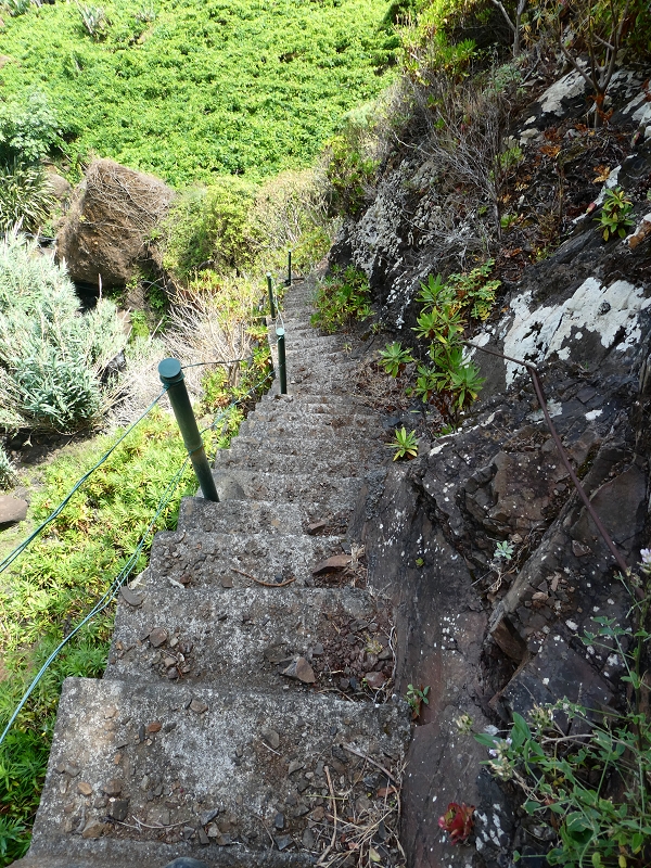 02.07.2018 Rocha do Navio und Levada do Cantinho, Miradouro de Santo Antonio — Die Wasserfalltreppe — Foto 8