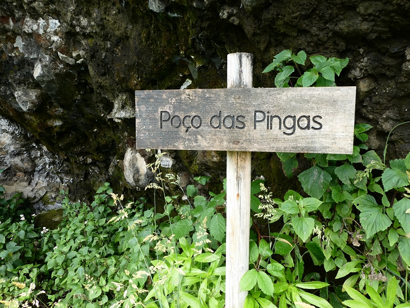 02.07.2018 Rocha do Navio und Levada do Cantinho, Miradouro de Santo Antonio — Der Wiederaufstieg — Foto 4
