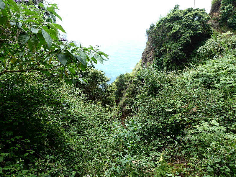 02.07.2018 Rocha do Navio und Levada do Cantinho, Miradouro de Santo Antonio — Der Wiederaufstieg — Foto 6