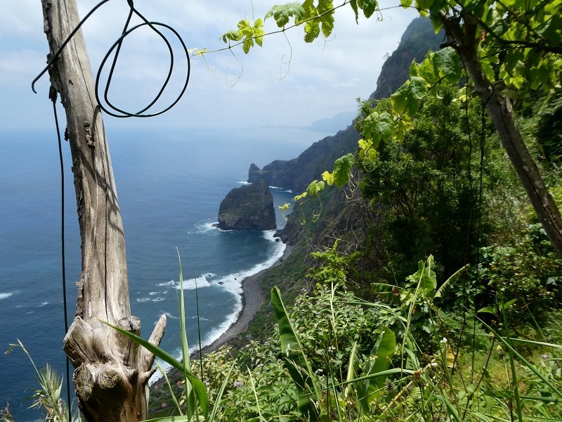 02.07.2018 Rocha do Navio und Levada do Cantinho, Miradouro de Santo Antonio — Der Wiederaufstieg — Foto 7