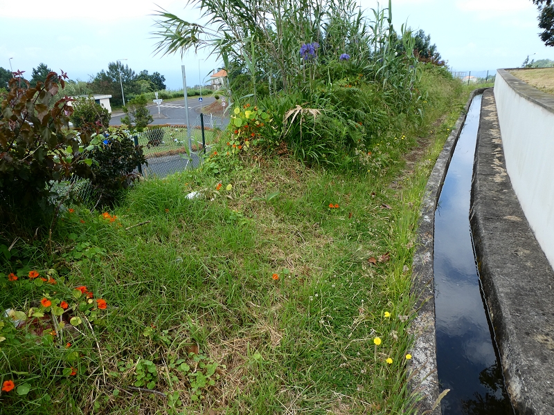 Levada do Cantinho — Auf dem Weg zum Continente — Foto 1
