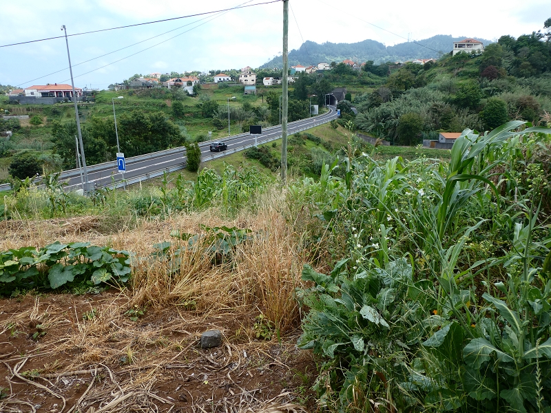 Levada do Cantinho — Auf dem Weg zum Continente — Foto 2
