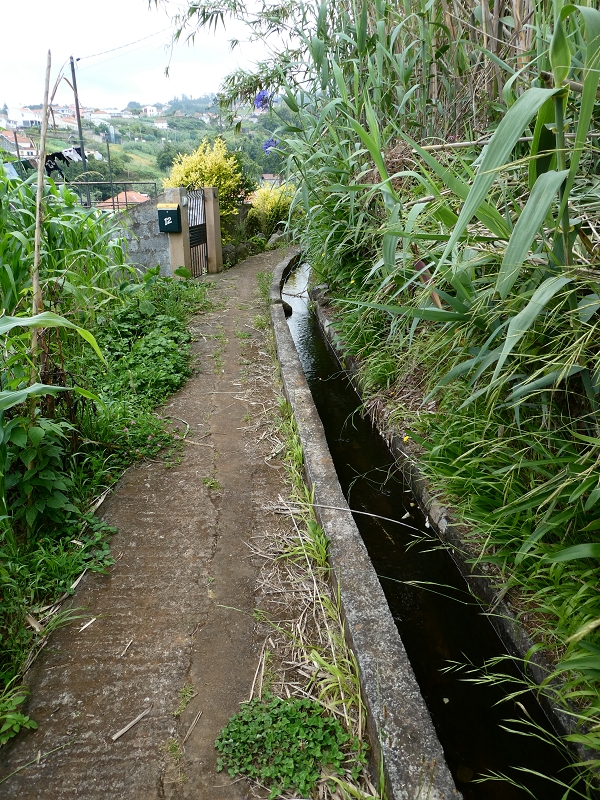 Levada do Cantinho — Auf dem Weg zum Continente — Foto 3