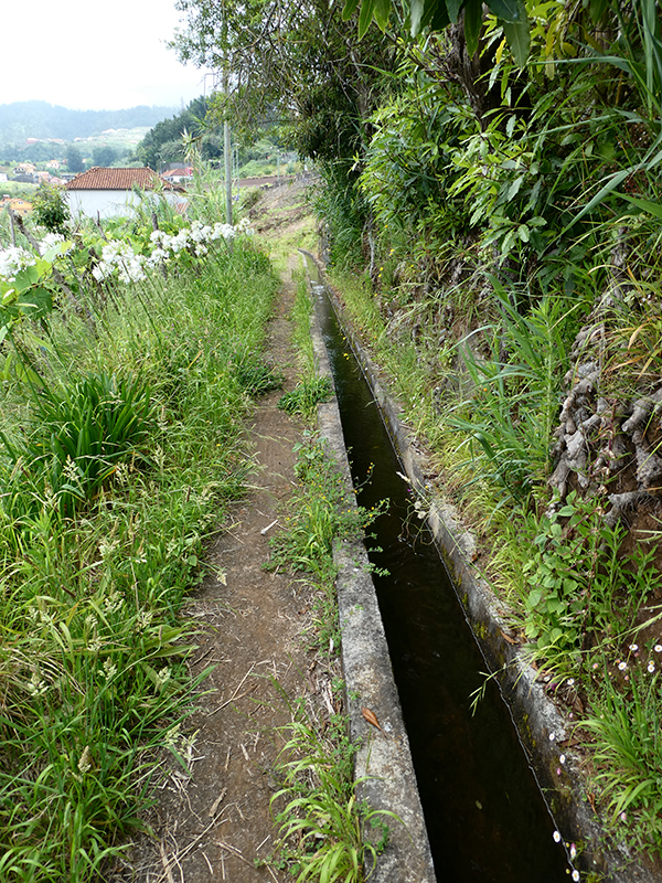 Levada do Cantinho — Auf dem Weg zum Continente — Foto 4