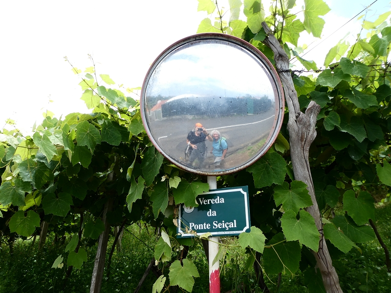 02.07.2018 Rocha do Navio und Levada do Cantinho, Miradouro de Santo Antonio — Levada do Cantinho: Der erste Bacheinschnitt — Foto 6