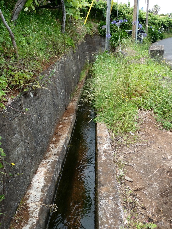 02.07.2018 Rocha do Navio und Levada do Cantinho, Miradouro de Santo Antonio — Levada do Cantinho: Der erste Bacheinschnitt — Foto 7