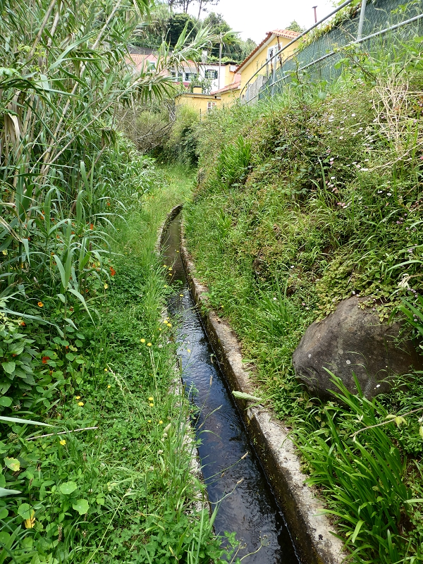Levada do Cantinho — Passage der Ribeira das Covas — Foto 1