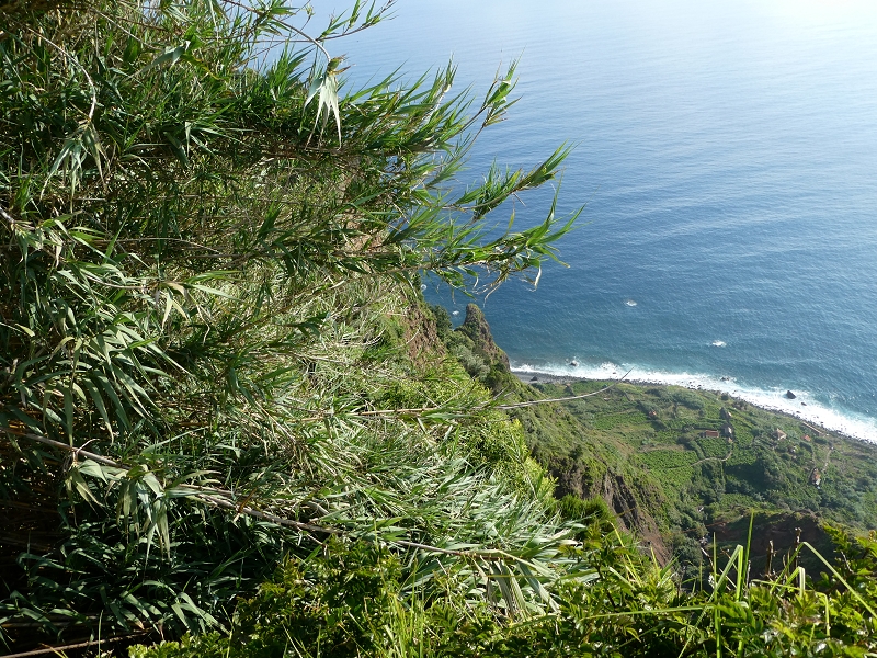 02.07.2018 Rocha do Navio und Levada do Cantinho, Miradouro de Santo Antonio — Von der Estrada das Covas zum Fio Velho — Foto 9