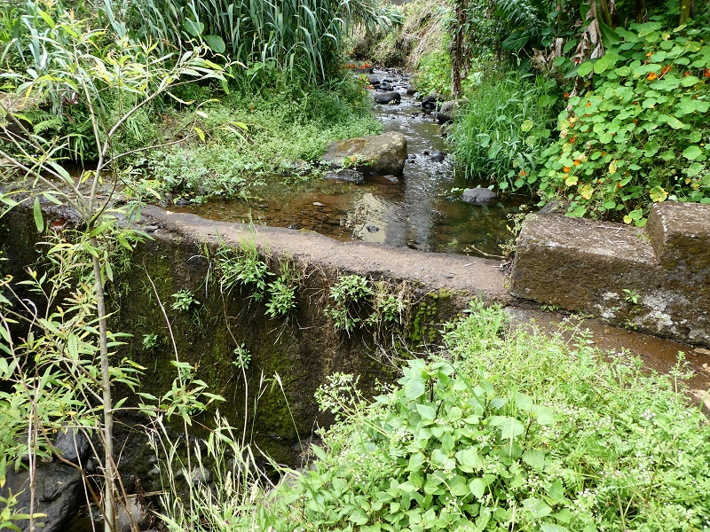 Levada do Cantinho — Passage der Ribeira das Covas — Foto 2