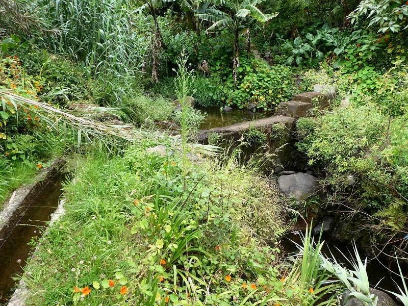 Levada do Cantinho — Passage der Ribeira das Covas — Foto 3