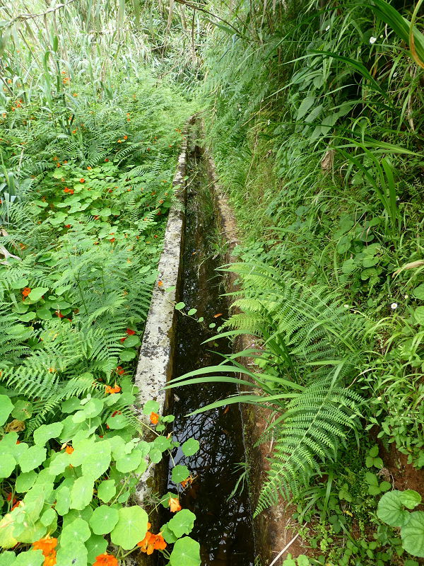 Levada do Cantinho — Passage der Ribeira das Covas — Foto 4