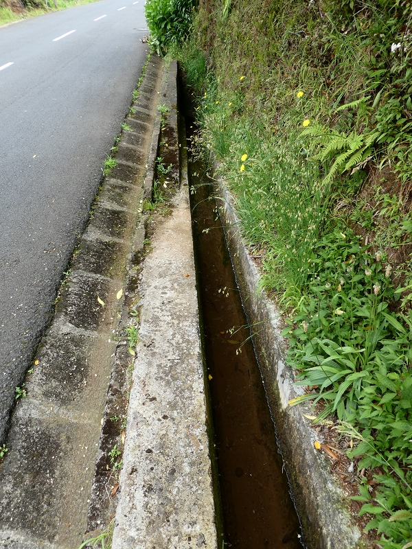 02.07.2018 Rocha do Navio und Levada do Cantinho, Miradouro de Santo Antonio — Levada do Cantinho: Der erste Bacheinschnitt — Foto 13
