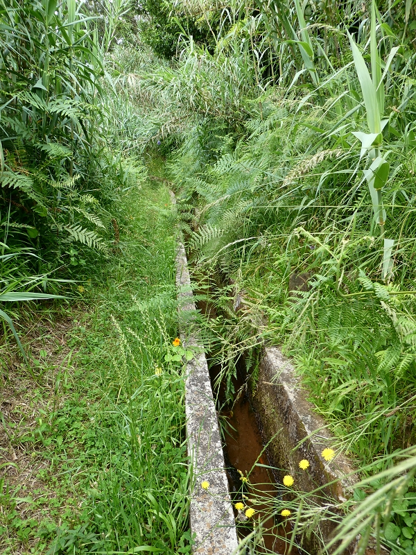 02.07.2018 Rocha do Navio und Levada do Cantinho, Miradouro de Santo Antonio — Levada do Cantinho: Der erste Bacheinschnitt — Foto 15