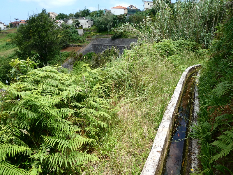 02.07.2018 Rocha do Navio und Levada do Cantinho, Miradouro de Santo Antonio — Levada do Cantinho: Der erste Bacheinschnitt — Foto 16
