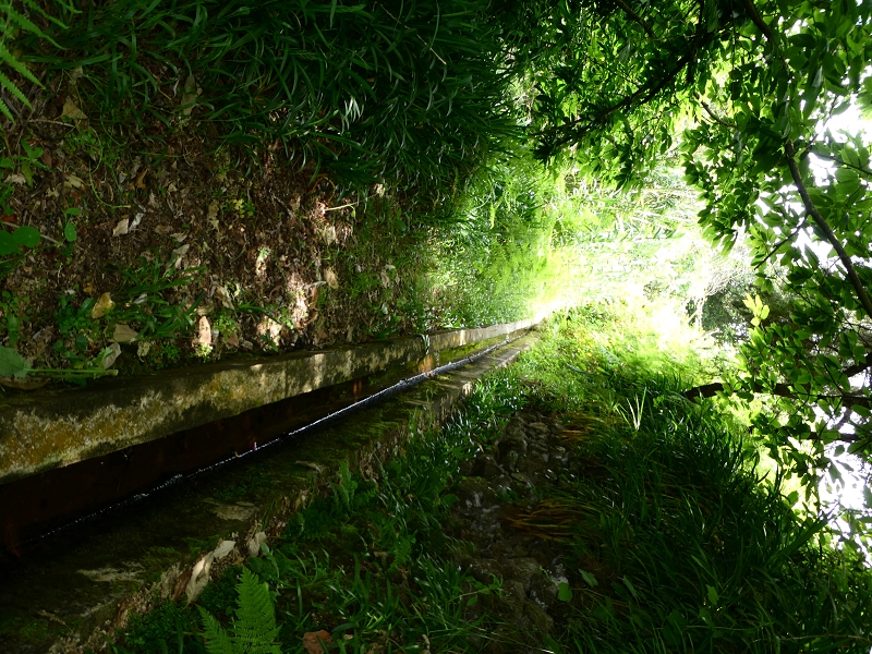 02.07.2018 Rocha do Navio und Levada do Cantinho, Miradouro de Santo Antonio — Levada do Cantinho: Der erste Bacheinschnitt — Foto 17
