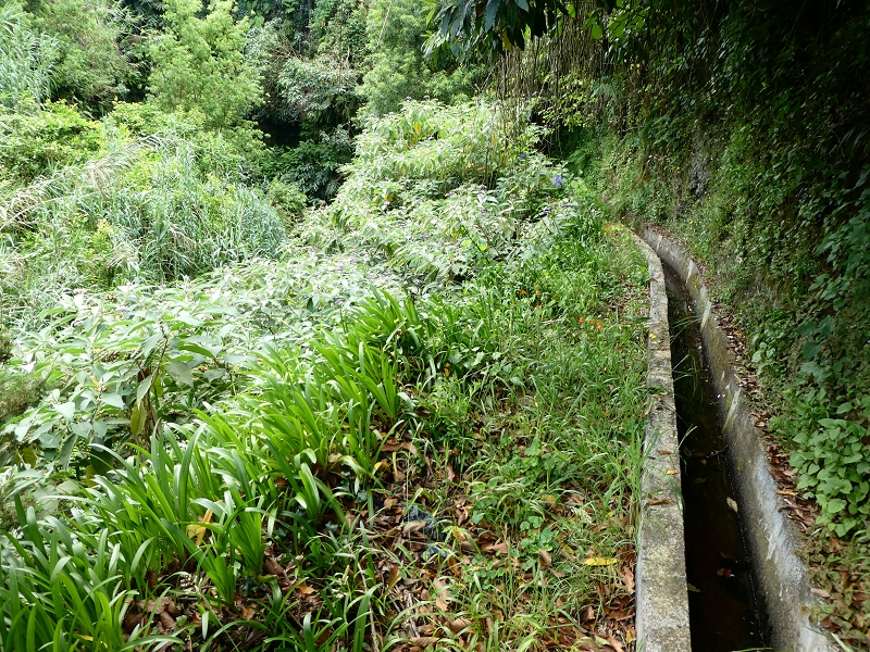 02.07.2018 Rocha do Navio und Levada do Cantinho, Miradouro de Santo Antonio — Levada do Cantinho: Der zweite feuchte Bacheinschnitt mit Wasserfall — Foto 1