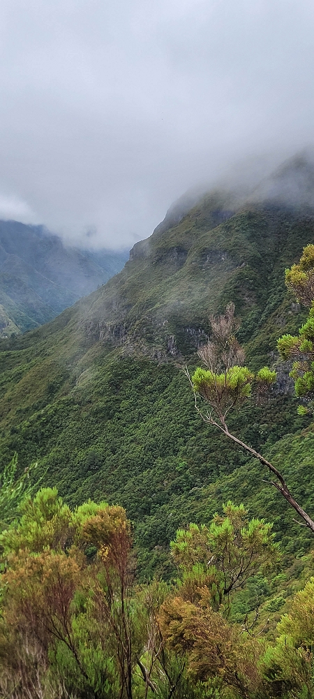 02.07.2022 Rabacal im Regen und im Nebel — Abstieg auf dem Caminho do Pau Seco — Foto 6