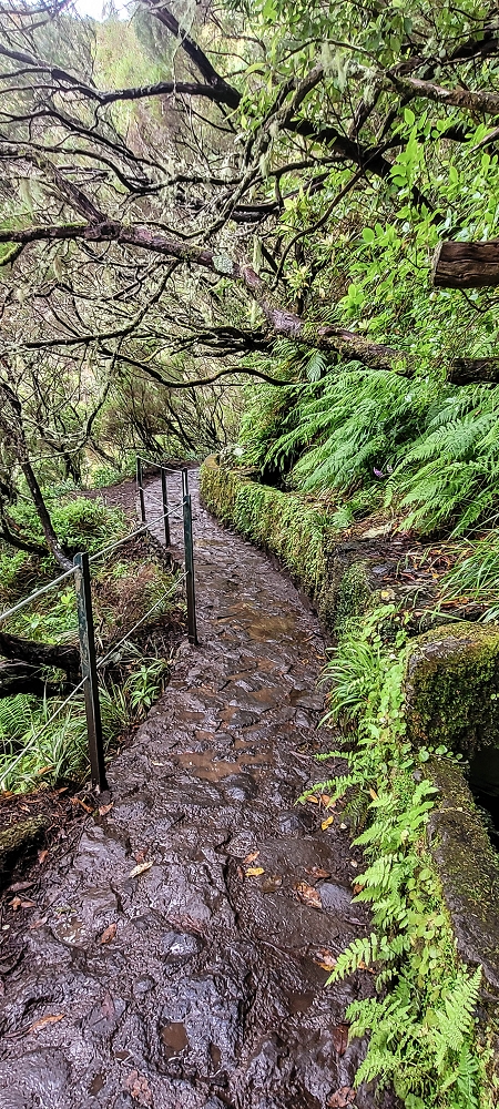 02.07.2022 Rabacal im Regen und im Nebel — 25 Quellen und Levada Vinte e Cinco Fontes — Foto 1