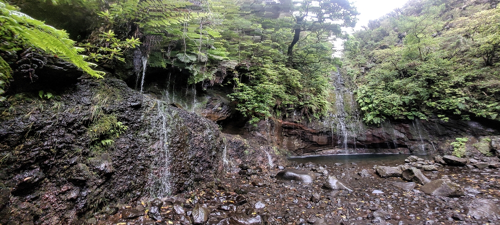 02.07.2022 Rabacal im Regen und im Nebel — 25 Quellen und Levada Vinte e Cinco Fontes — Foto 2