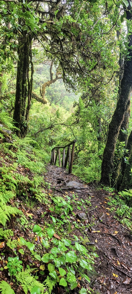 02.07.2022 Rabacal im Regen und im Nebel — Auf dem PR13 — Foto 2