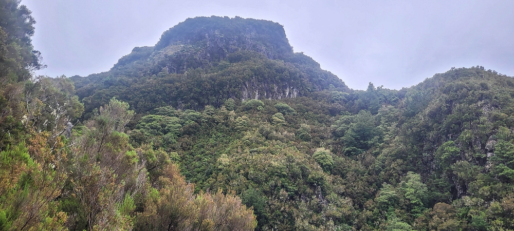 02.07.2022 Rabacal im Regen und im Nebel — Aufstieg auf der Palha Carga — Foto 4