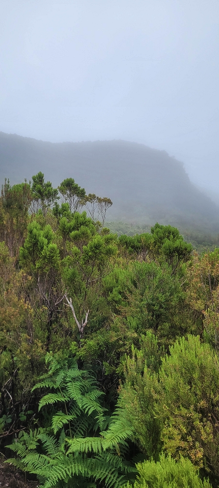 02.07.2022 Rabacal im Regen und im Nebel — Aufstieg auf der Palha Carga — Foto 8