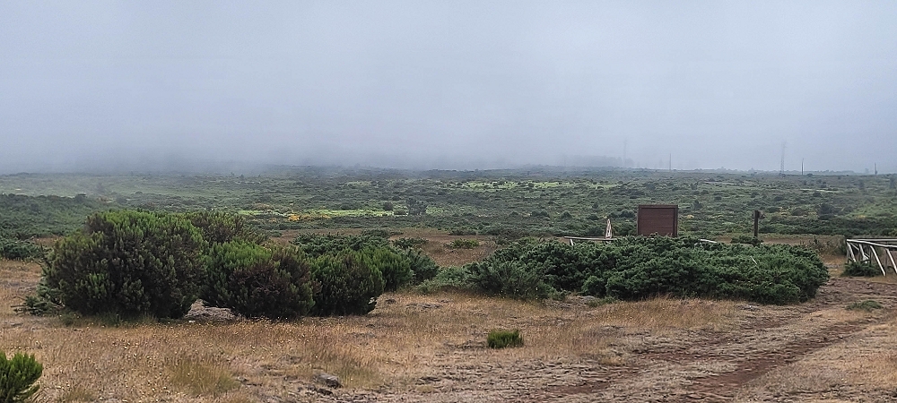 02.07.2022 Rabacal im Regen und im Nebel — Zum Pico do Rabacal — Foto 1