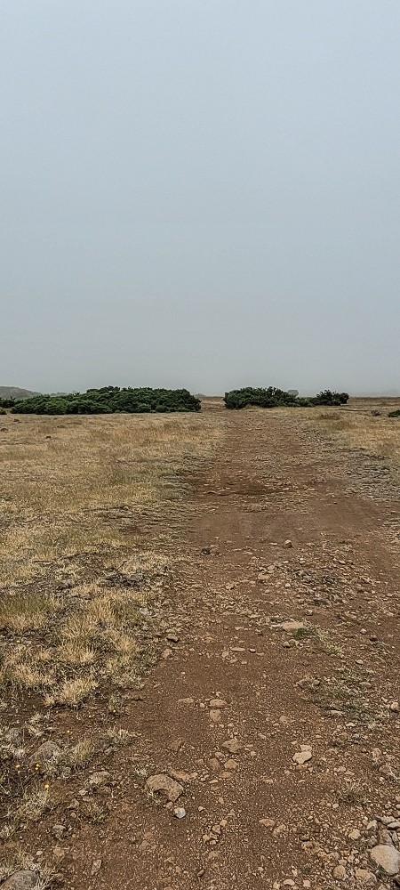 02.07.2022 Rabacal im Regen und im Nebel — Zum Pico do Rabacal — Foto 2