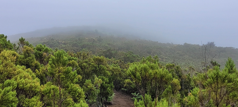 02.07.2022 Rabacal im Regen und im Nebel — Abstieg auf dem Caminho do Pau Seco — Foto 1