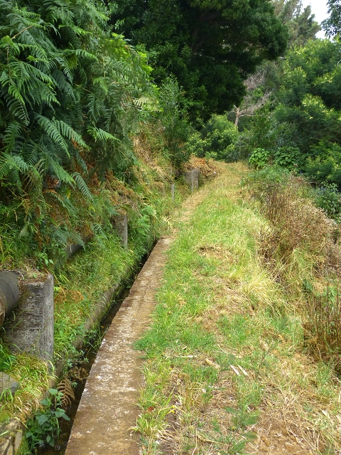 2 August 2014 5 Levadas around Maroços — On the Levada Nova de Machico to the small water house — photo 10